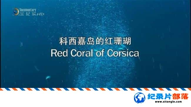 ѧ̽¼ƬѰ֮· εĺɺ In Pursuit of Precious Stones Red Coral of Corsica  2013Ӣ-Ѹ