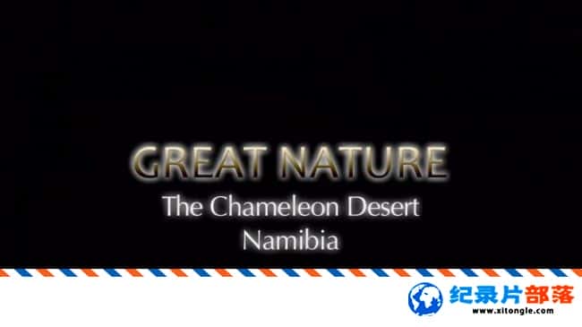 ̬¼ƬɫɳĮײ The Chameleon Desert Namibia 2013Ӣ-Ѹ