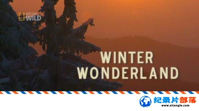 ̬¼Ƭ澳 Winter Wonderland 2016Ӣ-Ѹ