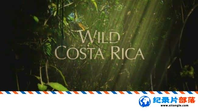 ѧ̽¼Ƭ֮˹   Wild Costa Rica 2016Ӣ-Ѹ