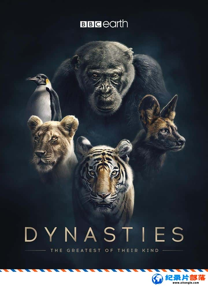 ̬¼Ƭ Dynasties 2018 Ӣ-Ѹ