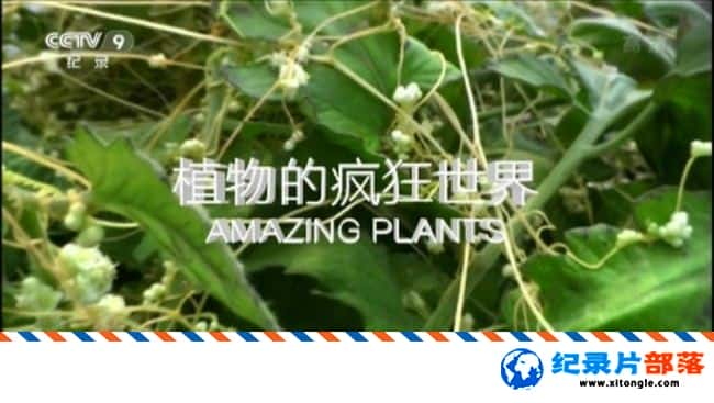 ѧ̽¼Ƭֲķ Amazing Plants 2015-Ѹ