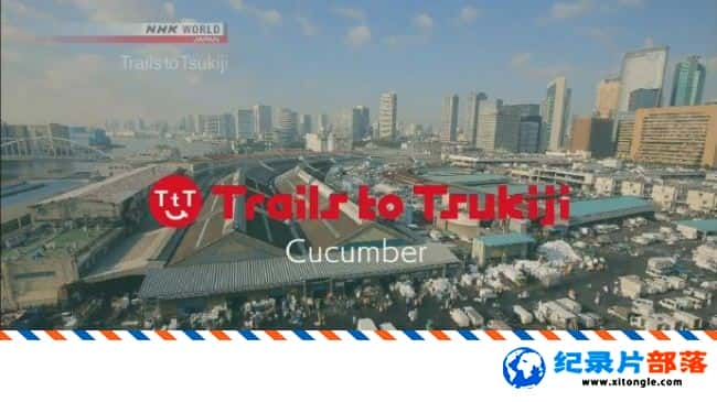 ̬¼Ƭ㼣ƹ Trails to Tsukiji-Cucumber 2017 Ӣ-Ѹ