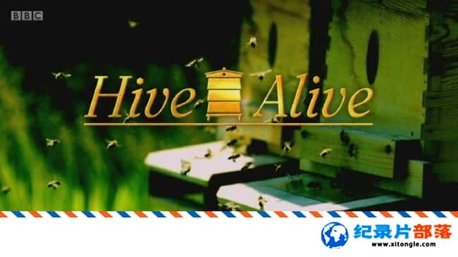 ̬¼ƬԾ䳲 Hive Alive 2014 ӢӢ-Ѹ