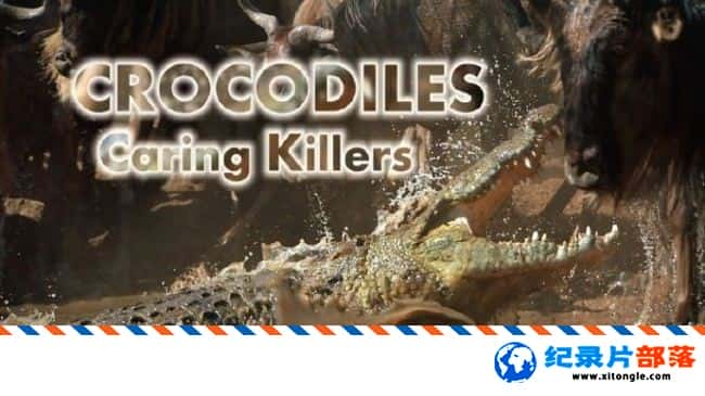 ̬¼Ƭ㡪ɱ Crocodiles Caring Killers 2012ӢӢ-Ѹ