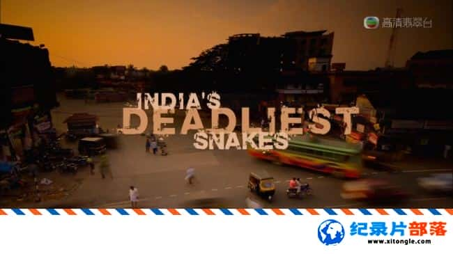 ѧ̽¼Ƭӡȶ֮ Indias Deadliest Snakes 2009Ӣ˫-Ѹ