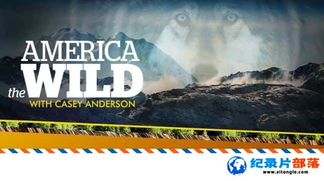 ̬¼ƬҰԶѪ America The Wild: American Vampire 2014Ӣ-Ѹ