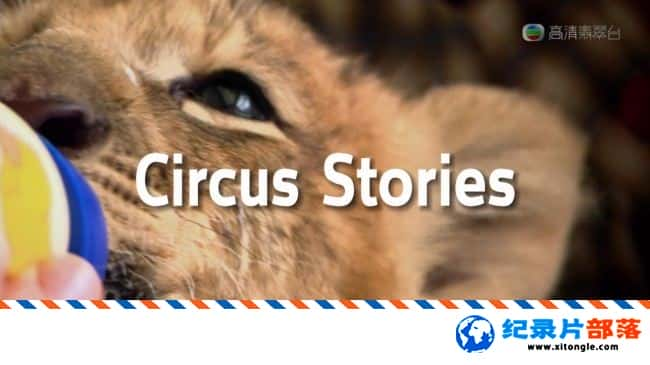 ѧ̽¼Ƭѵ Circus Stories 2011 Ӣ-Ѹ