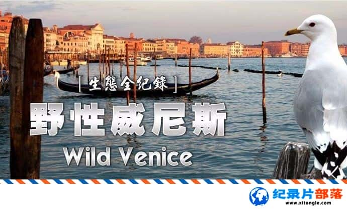 ̬¼ƬҰ˹ Wild Venice 2018-Ѹ