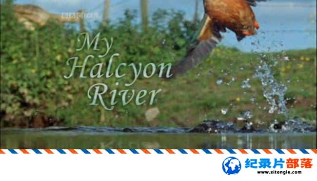 ̬¼Ƭ Ȼ磺 BBC The Natural World-My Halcyon RiverӢ-Ѹ