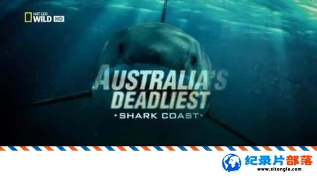 ̬¼Ƭİ㺣 Australia Deadliest Shark Coast 2013Ӣ-Ѹ