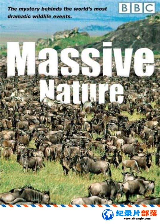 ̬¼ƬȺȻ Massive Nature  2004 ӢӢ˫-Ѹ