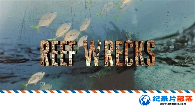 ̬¼Ƭ̽պ׳ Reef Wrecks 2016 ӢӢ-Ѹ