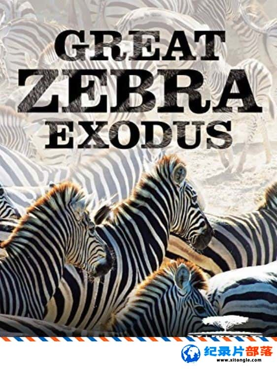 ̬¼ƬǨ Great Zebra Exodus 2013ӢӢ-Ѹ