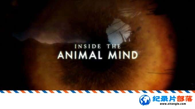 ѧ̽¼Ƭ/붯˼ Inside the Animal Mind 2018 Ӣ  ¼Ƭ-Ѹ