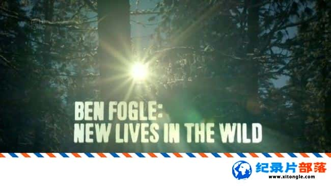 ̬¼ƬҰ New Lives in the Wild 20165 ӢӢ-Ѹ