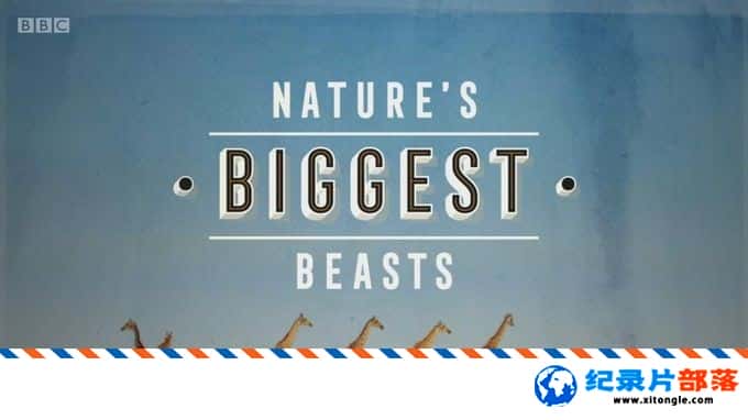 ̬¼ƬҰ Nature's Biggest Beasts 2018ӢӢ-Ѹ