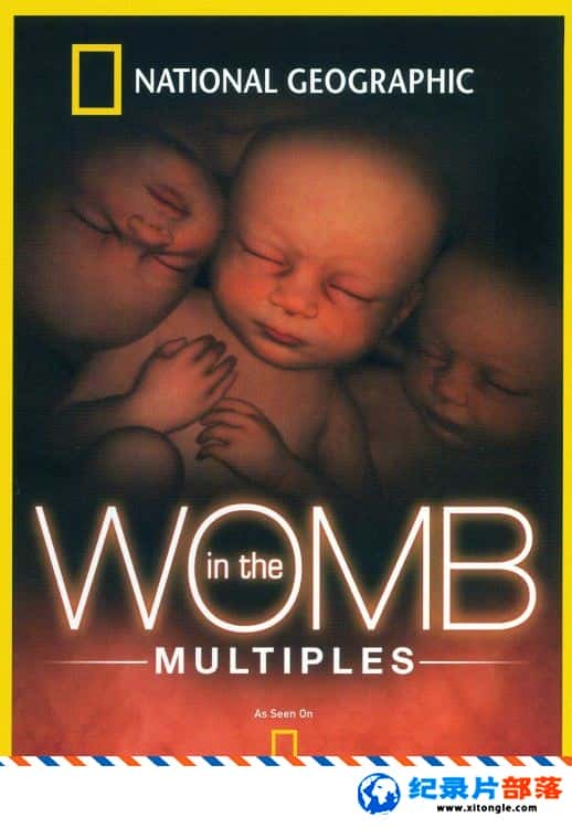 ѧ̽¼Ƭӹռǣ̥ In the Womb: Multiples 2007Ӣ-Ѹ