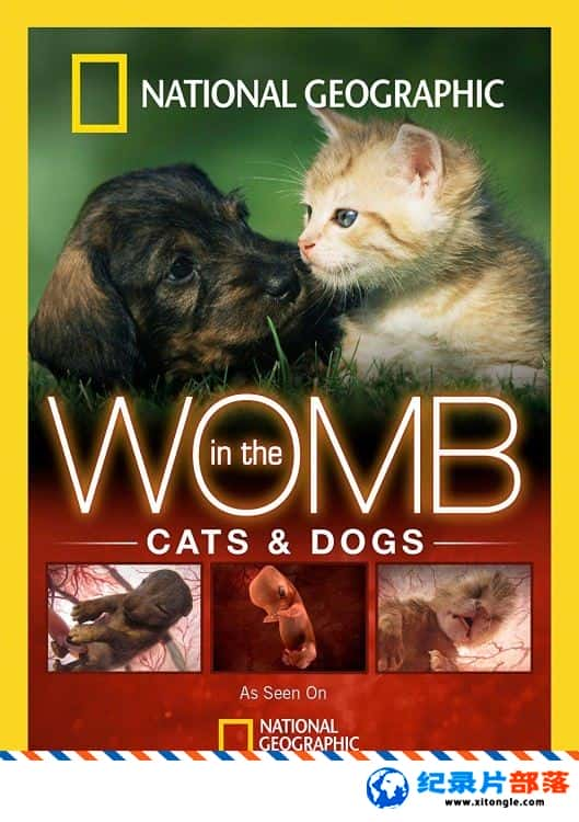 ѧ̽¼ƬӹռǣèȮ In the Womb: Cats and Dogs 2009Ӣ-Ѹ