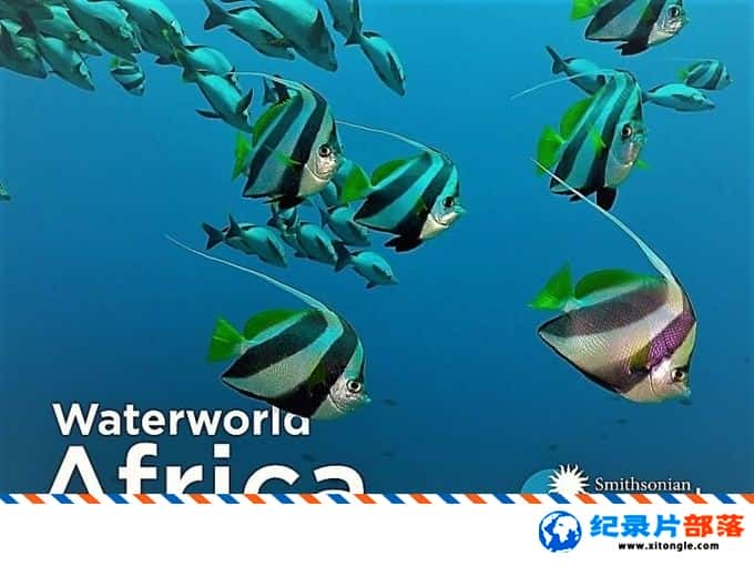 ̬¼Ƭˮ Waterworld Africa 2018һ Ӣ-Ѹ