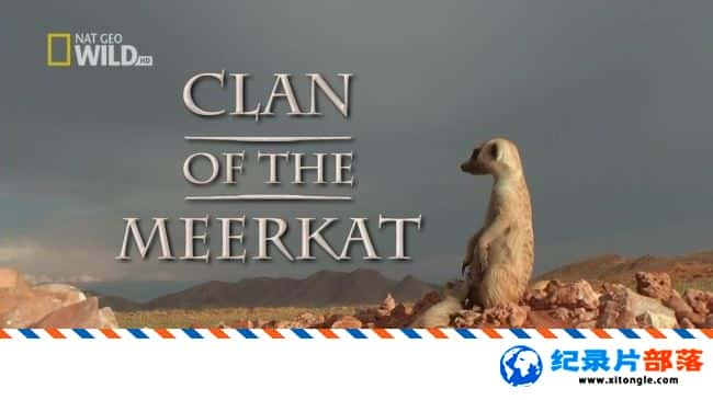 ѧ̽¼ƬB Clan Of The Meerkat 2007Ӣ-Ѹ