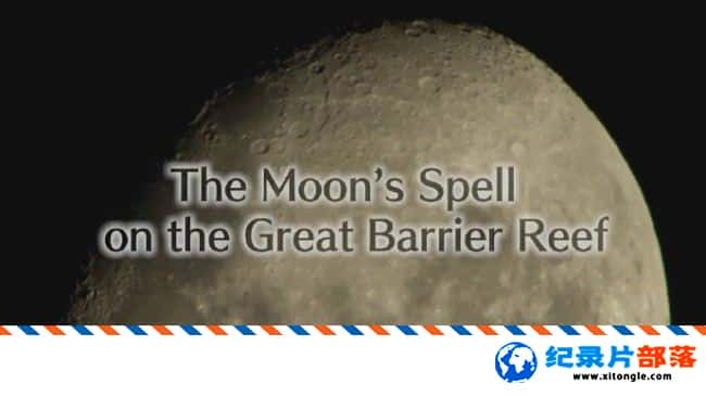 ̬¼Ƭ󱤽ħ The Moon Spell On The Great Barrier Reef 2014ӢӢ-Ѹ