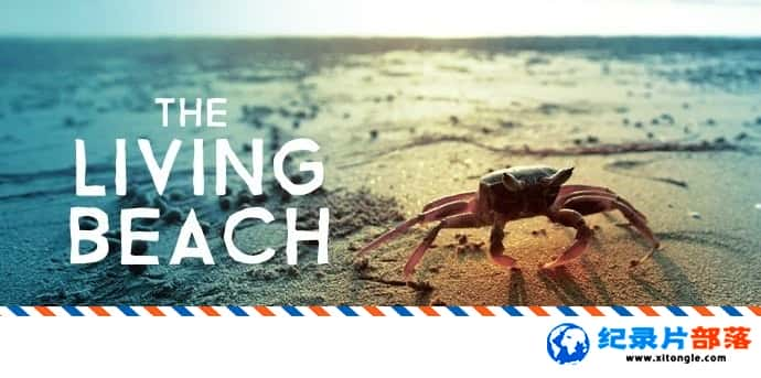 ̬¼Ƭĺ̲ The Living Beach 2016 Ӣ-Ѹ