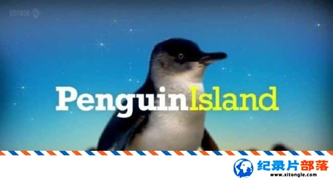 ̬¼Ƭ쵺 Penguin Island Ӣ 720P ¼Ƭ-Ѹ