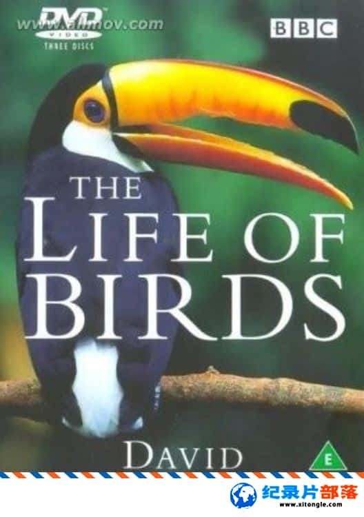 ̬¼ƬҰ The Life of Birds 1998 Ӣ AVI ¼Ƭ-Ѹ