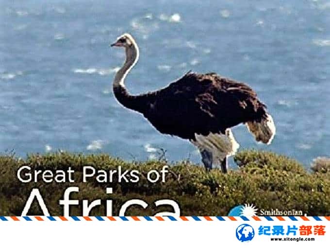 ʷ¼Ƭ޵׳ Great Parks of Africa 2018 ӢӢ-Ѹ