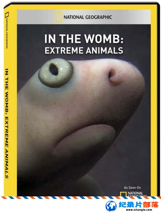 ѧ̽¼Ƭӹռǣ˶ In the Womb: Extreme Animals  2009Ӣ-Ѹ