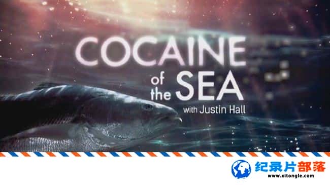 ʷ¼Ƭ̽ߡϿɿ  Explorer-Cocaine of the Sea  2017 ӢӢ-Ѹ