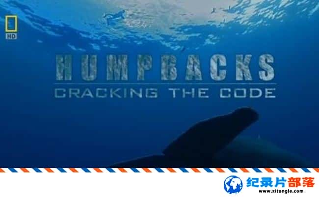 ѧ̽¼Ƭͷ֮ Humpbacks Cracking The Code 2009Ӣ-Ѹ