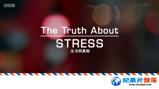 ʷ¼Ƭѹ The Truth About Stress 2017Ӣ-Ѹ