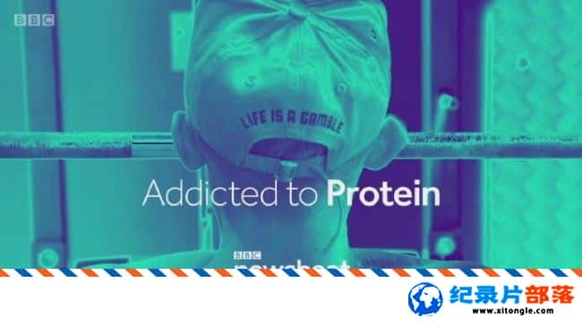 ѧ̽¼Ƭʳ Addicted to Protein 2017ӢӢ-Ѹ