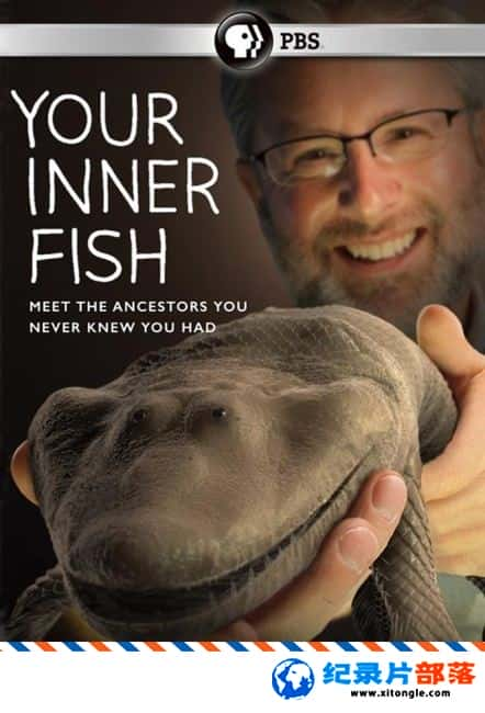 ʷ¼Ƭڵ/ Your Inner Fish Ӣ˫ 720P ̽¼Ƭ-Ѹ