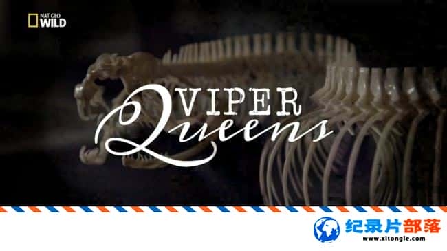 ̬¼ƬŮ Viper Queens 2017-¼ƬԴ1080P/720P/360PѸ
