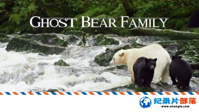 ̬¼Ƭһ Spirit Bear FamilyӢ 720P ܼ¼Ƭ-Ѹ