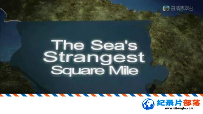 ̬¼Ƭ The Sea Strangest Square Mile-Ѹ