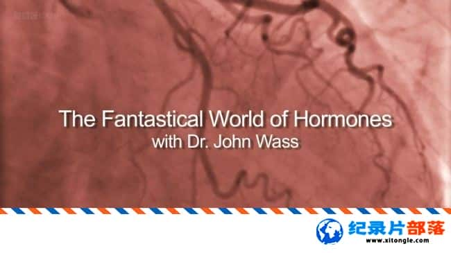 ʷ¼Ƭɶɵ The Fantastical World of HormonesӢ-Ѹ