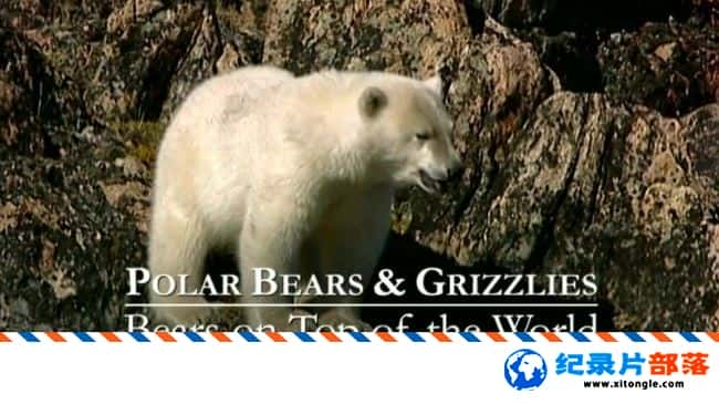 ̬¼Ƭܺͻ ֮ Bears on Top of the WorldӢ˫ 720P ܺͻܼ¼Ƭ-Ѹ