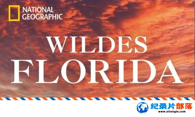 ̬¼ƬҰԷ Wild Flordia Ӣ 720P Ȼ̬¼Ƭ-Ѹ