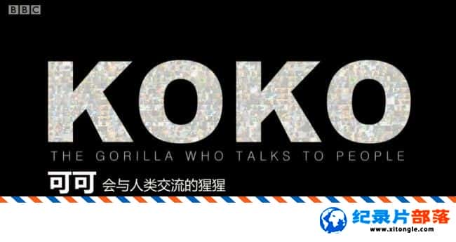 ʷ¼Ƭɿ: ཻ Koko: The Gorilla who Talks to People 2016Ӣ 720P  ɿɿɼ¼Ƭ-Ѹ