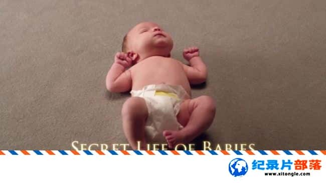 ʷ¼ƬӤ Secret Life of BabiesӢ 720P Ӥ¼Ƭ-Ѹ