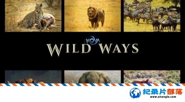 ̬¼Ƭ Ұͨ NOVA Wild WaysӢ 720P Ұﱣ¼Ƭ-Ѹ