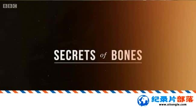 ʷ¼Ƭ Secrets of Bones Ӣ˫ 720P ̽ؼ¼Ƭ-Ѹ