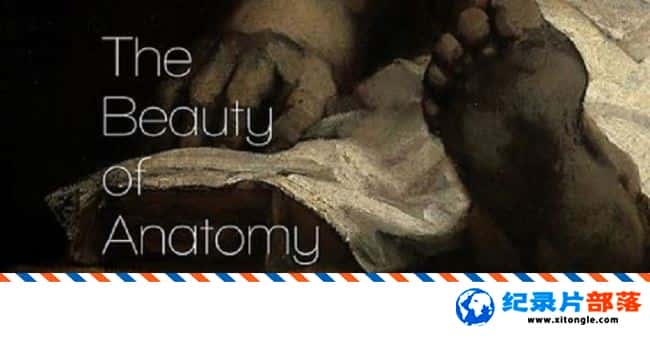 ʷ¼Ƭѧ֮ The Beauty of Anatomy  MP4 ѧ¼Ƭ-Ѹ