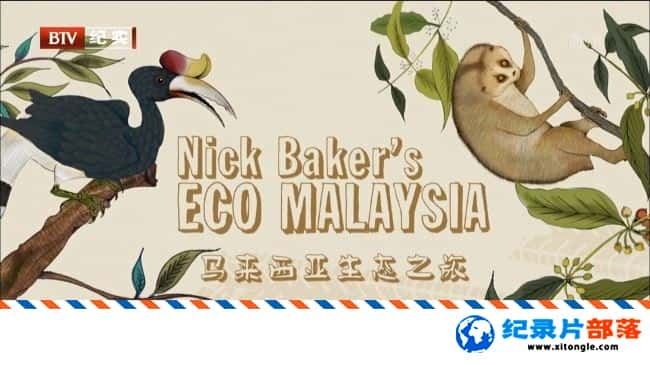 ̬¼Ƭˡ ̬֮ Nick Baker Eco Malaysia-Ѹ