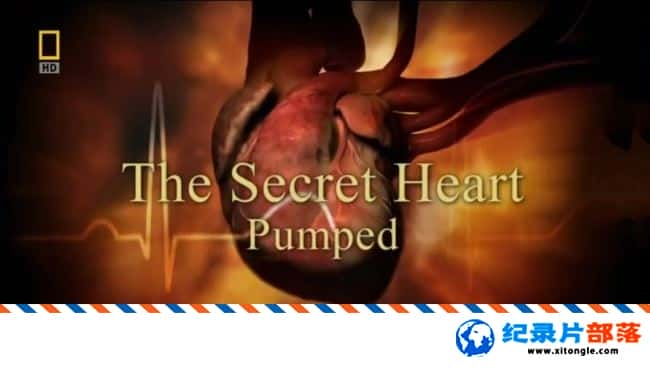 ѧ̽¼ƬಡThe Secret Heart Ӣ 720P ¼Ƭ-Ѹ