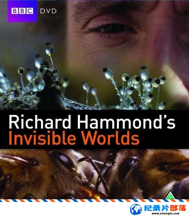 ѧ̽¼Ƭ Richard Hammond Invisible Worlds  Ӣ 1080P ΢¼Ƭ-Ѹ